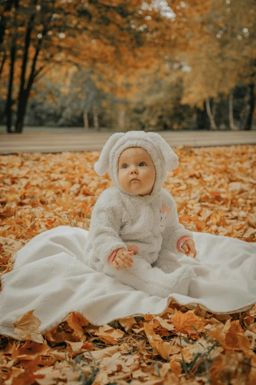 a baby sitting on a blanket in the leaves, inspired by Anne Geddes, pexels contest winner, traditional russia, square, gif, cuddly fur