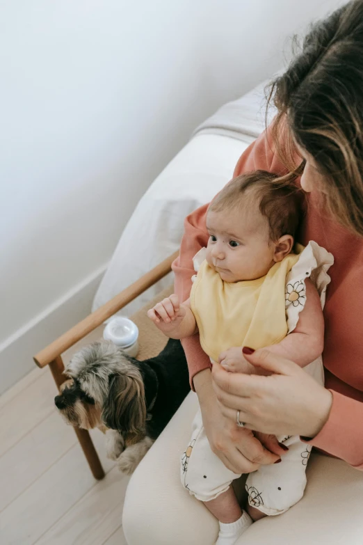 a woman holding a baby and a small dog, by Nina Hamnett, pexels contest winner, modernism, bedhead, healthcare, manuka, angle view