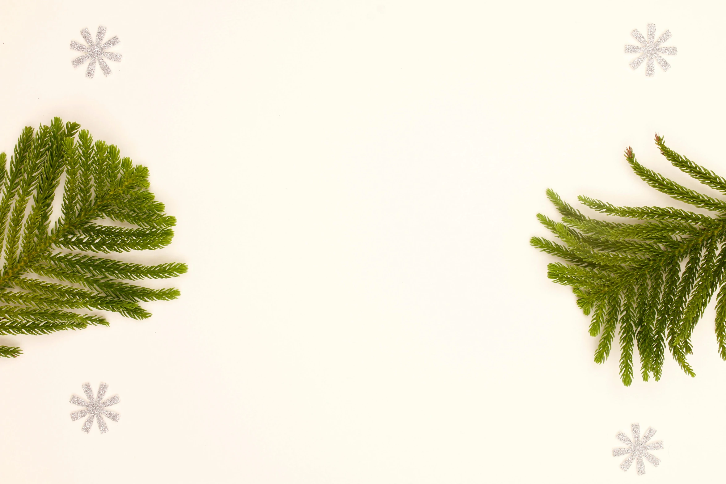 a couple of green leaves sitting on top of a white surface, an album cover, inspired by Andy Goldsworthy, trending on unsplash, generative art, background image, christmas tree, hq 4k wallpaper