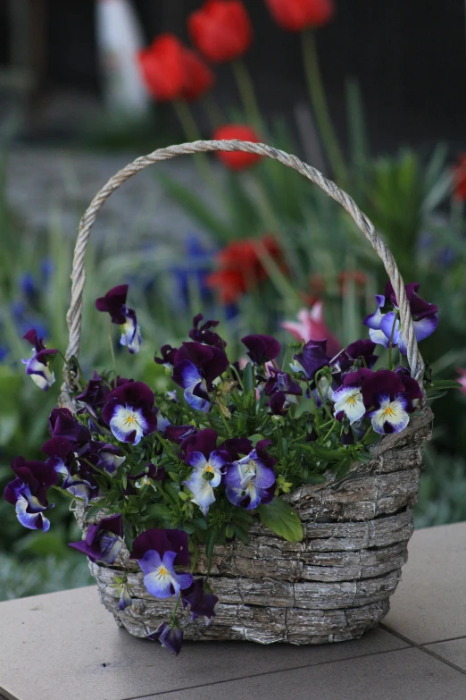 a basket filled with purple and white flowers, dark purple blue tones, in the garden, iconic scene, hearts