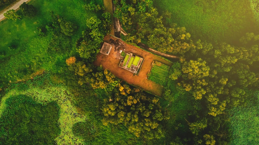 an aerial view of a house in the middle of a forest, pexels contest winner, indian temple, lush field, print ready, gold and green