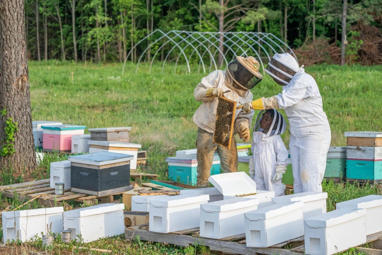 a couple of people that are standing in the grass, surface hives, teaching, staff wearing hazmat suits, a wooden