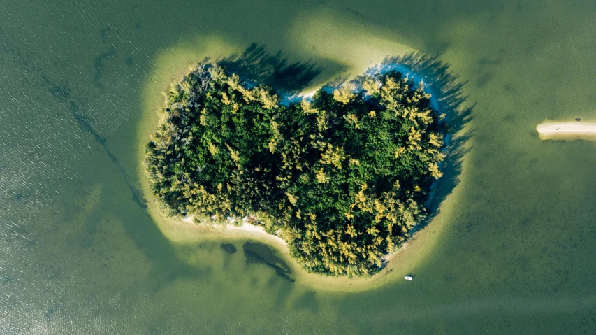 a heart shaped island in the middle of a body of water, by Peter Churcher, pexels contest winner, environmental art, sub tropical, te pae, birdeye, gilligan's island