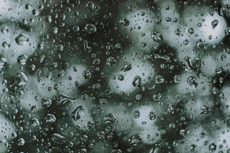 a black and white photo of raindrops on a window, a microscopic photo, pexels, visual art, full of greenish liquid, background image, black and teal paper, high-resolution