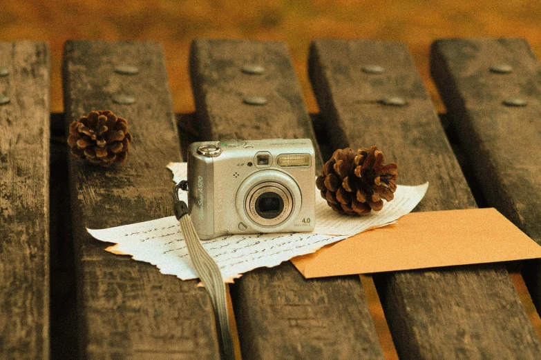 a camera sitting on top of a wooden bench, a picture, by Lucia Peka, pixabay contest winner, fall season, scrapbook, camera flash, miscellaneous objects