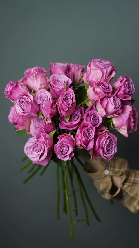 a person holding a bunch of pink roses, inspired by Violet Fuller, purple neon colours, on grey background, purple haze, rumble roses