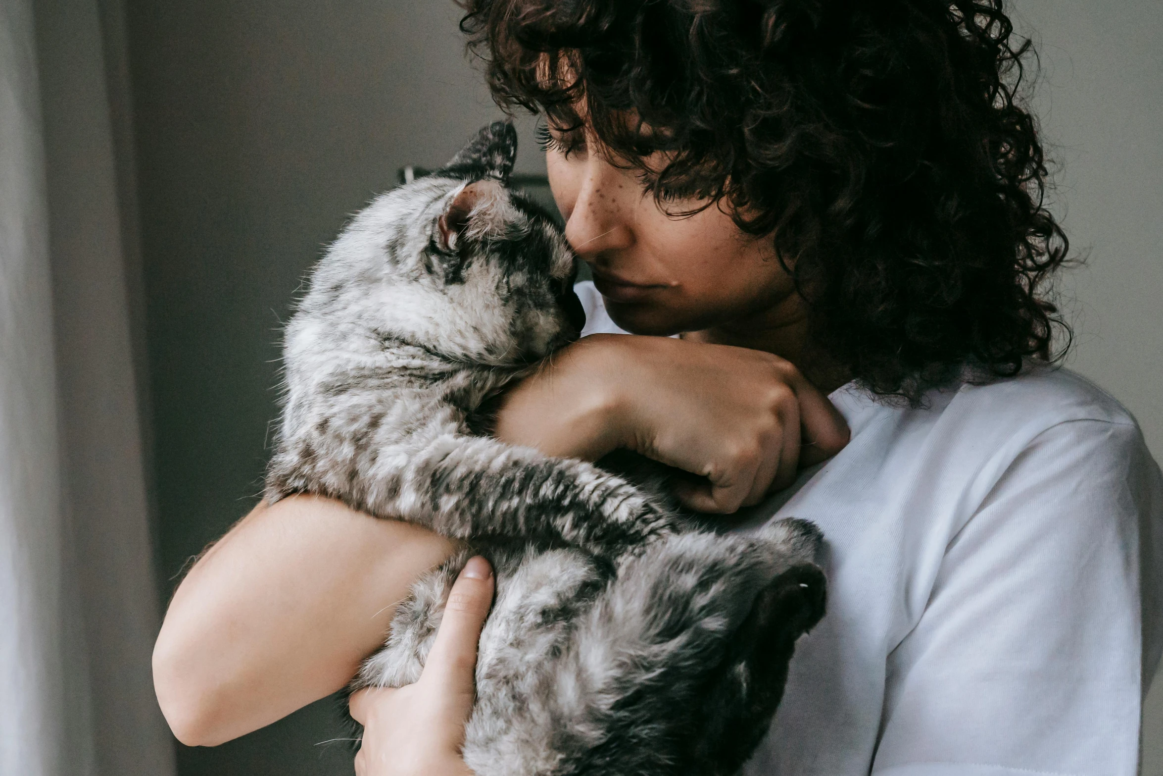 a woman holding a cat in her arms, trending on pexels, curly haired, grey, kissing each other, large)}]