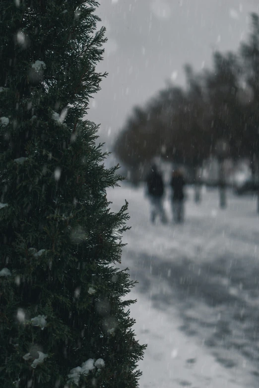 a group of people walking down a snow covered street, pexels contest winner, conceptual art, background image, snowstorm ::5, tree in the background, close - up photograph