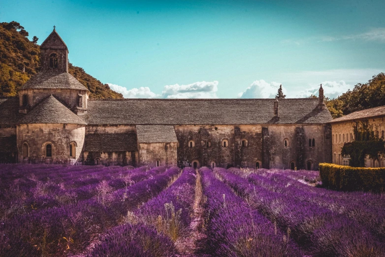 a lavender field with a church in the background, pexels contest winner, renaissance, 🕹️ 😎 🔫 🤖 🚬, french architecture, sprawling, leaked image