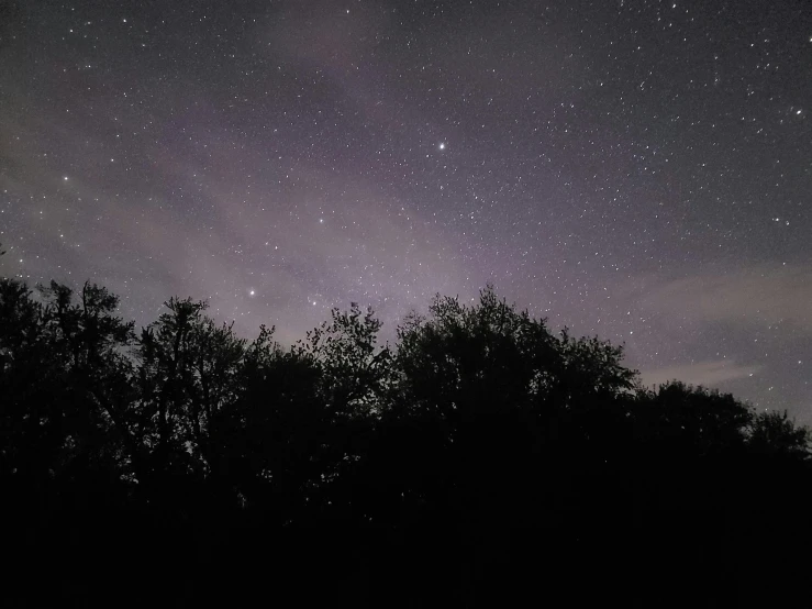 a night sky filled with lots of stars, a picture, pexels, with dark trees in foreground, taken on iphone 14 pro, muted lighting, ghostly low light