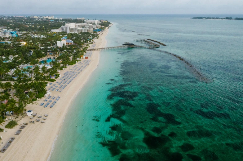 a large body of water next to a sandy beach, by Robbie Trevino, pexels contest winner, coral reefs, carribean turquoise water, tropical coastal city, usa-sep 20