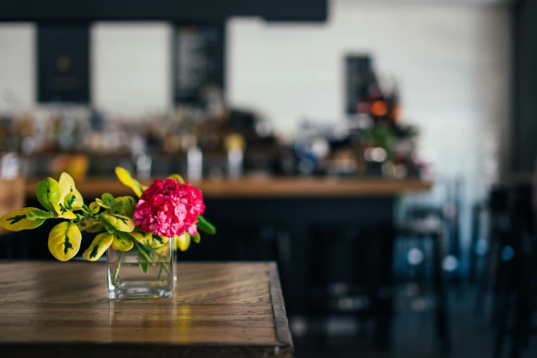 a vase filled with pink flowers sitting on top of a wooden table, unsplash, inside a bar, at the counter, crisp focus, no watermarks