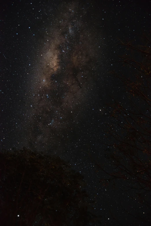 a night sky filled with lots of stars, by Peter Churcher, light and space, brown, australian winter night, low quality photo, one galaxy