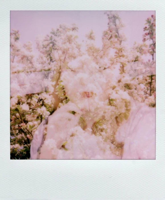 a polaroid picture with trees in the background, a polaroid photo, inspired by Elsa Bleda, unsplash, cotton candy bushes, her face is coated in a whitish, with a snowy mountain and ice, isolate translucent