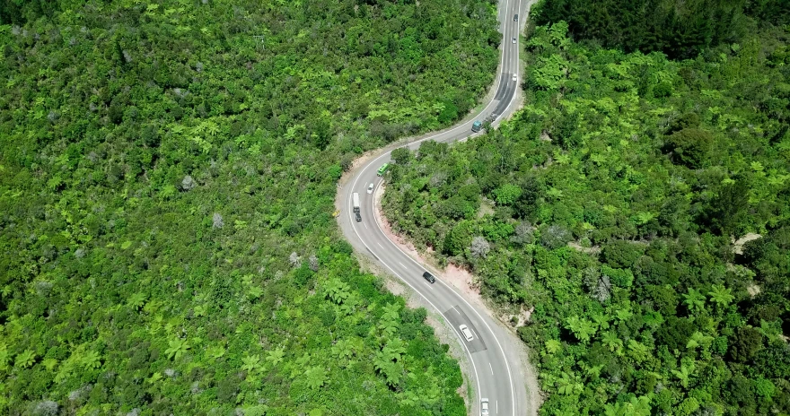 a winding road in the middle of a forest, hurufiyya, flying above a tropical forest, 🚿🗝📝, abel tasman, cars on the road