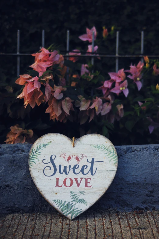 a wooden heart with the words sweet love on it, by Gwen Barnard, pexels contest winner, graffiti, botanicals, promo image, handsome, how pretty