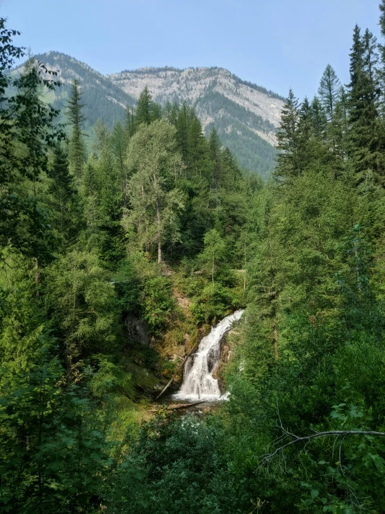 a waterfall in the middle of a lush green forest, mountain in the background, british columbia, profile image, thumbnail