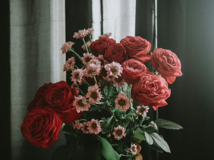 a vase filled with red roses next to a window, pexels contest winner, pink and red color scheme, on a dark background, bouquet, various posed
