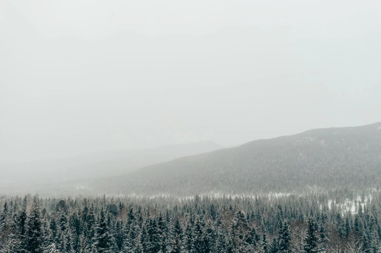 a group of people riding skis down a snow covered slope, by Emma Andijewska, pexels contest winner, overlooking a vast serene forest, gray fog, caledonian forest, minimalistic art