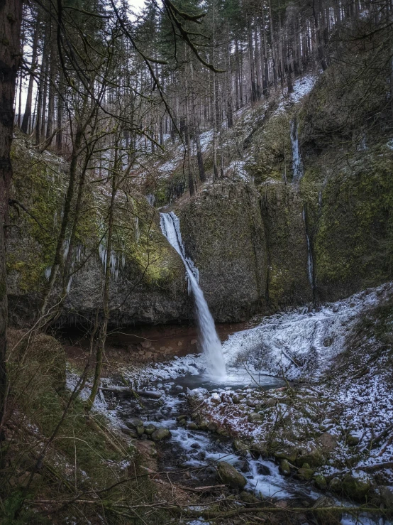 a waterfall in the middle of a forest, a photo, pexels contest winner, lush winter forest landscape, in between a gorge, portrait photo, pouring