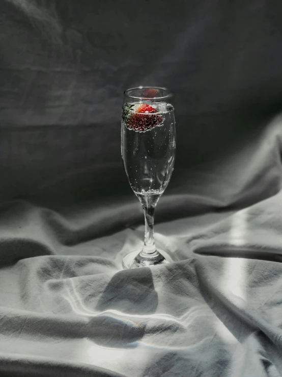 a glass of water with a strawberry in it, by Cosmo Alexander, pexels, visual art, champagne on the table, wet drapery, light grey backdrop, 🍸🍋