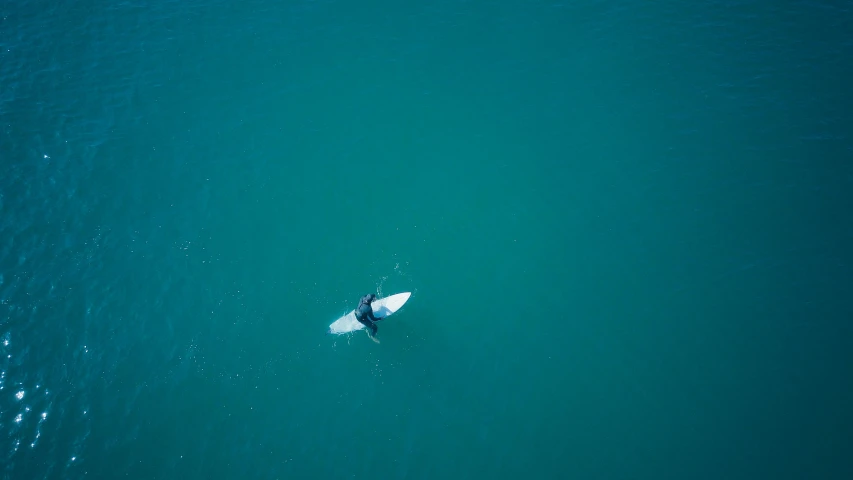 a man riding a surfboard on top of a body of water, pexels contest winner, minimalism, blue shark, aerial footage, 4 k hd wallpapear, killer whale