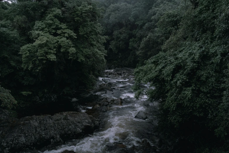 a river running through a lush green forest, an album cover, inspired by Thomas Struth, hurufiyya, low quality photo, fan favorite, gloomy/wet atmosphere, marsden