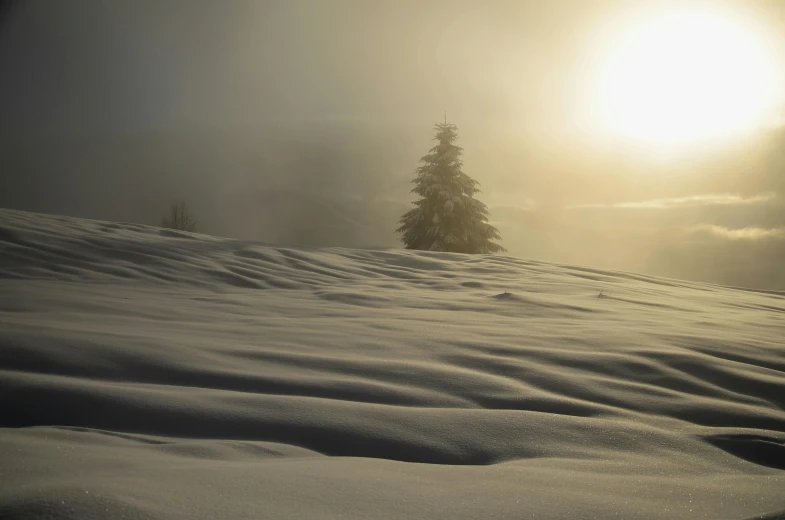 a person riding skis down a snow covered slope, by Cedric Peyravernay, pexels contest winner, romanticism, lonely tree, sun after a storm, gold ethereal light, grey