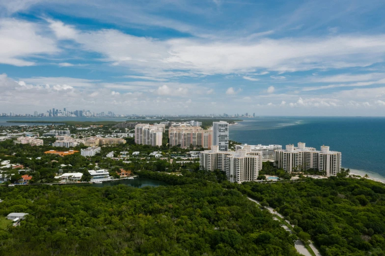 a view of a city from the top of a hill, by Ryan Pancoast, pexels contest winner, miami beach, over the tree tops, high quality photo, ultrawide image