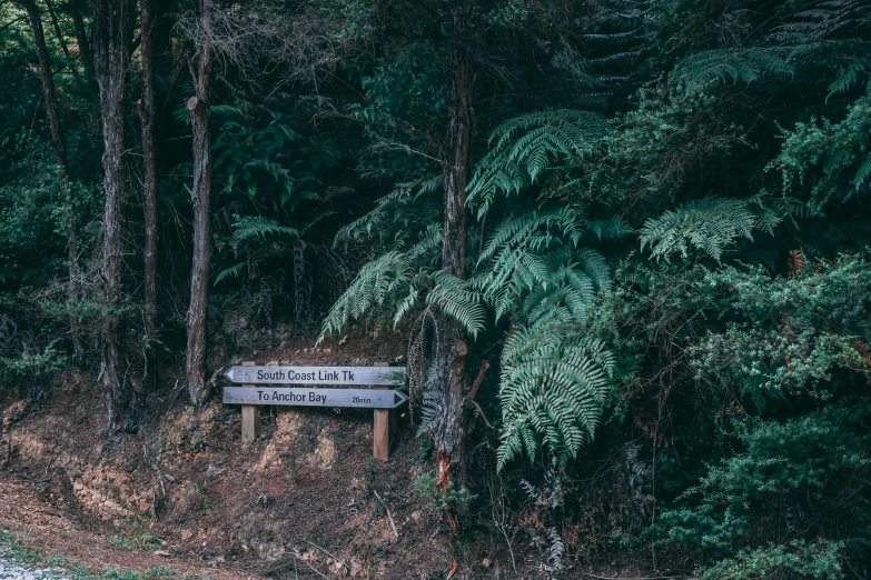 a sign sitting in the middle of a forest, unsplash, abel tasman, bench, lovecraft country, profile image