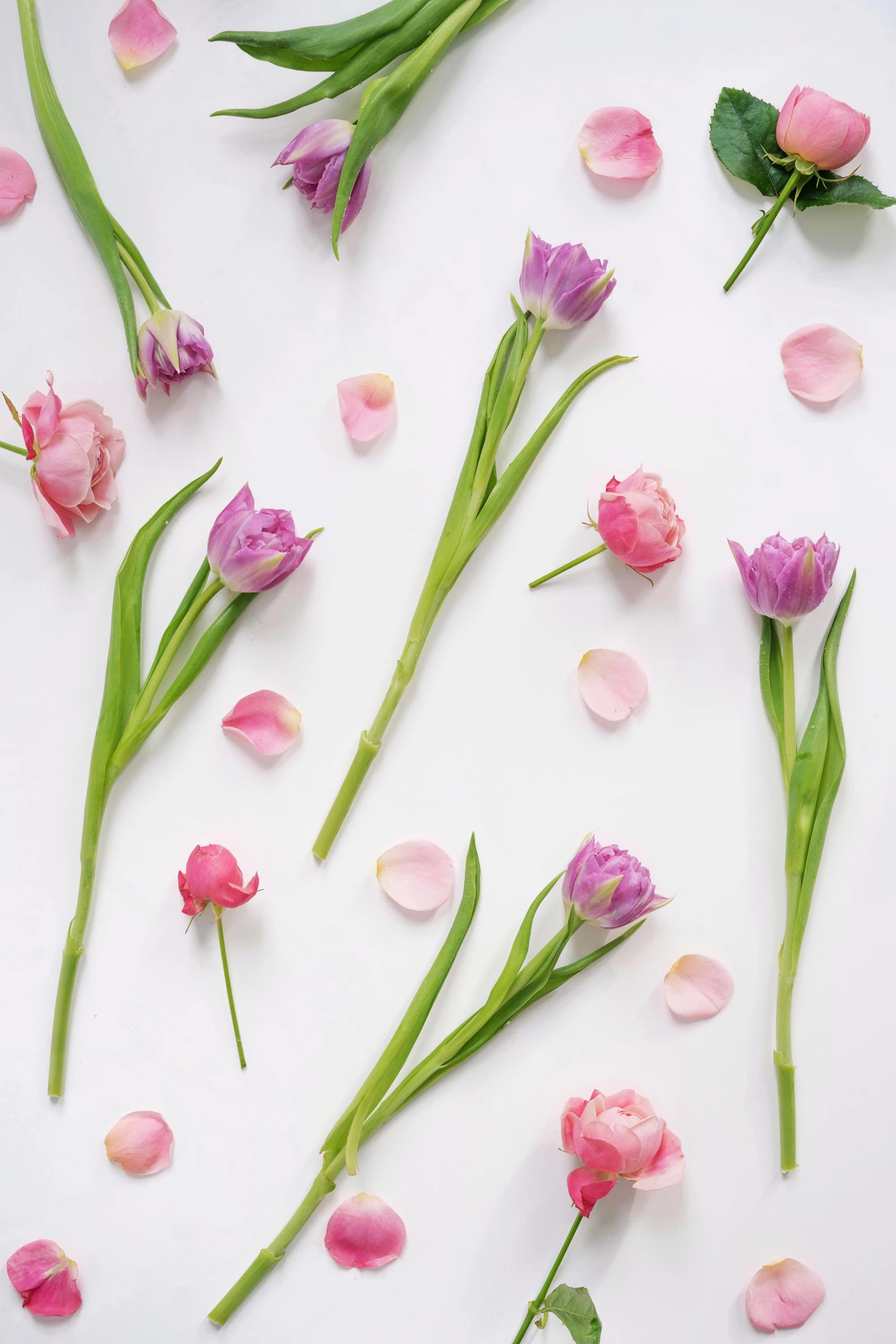 a white table topped with lots of pink flowers, inspired by Gentile Bellini, trending on unsplash, tulip, pastel flower petals flying, background image, patterned