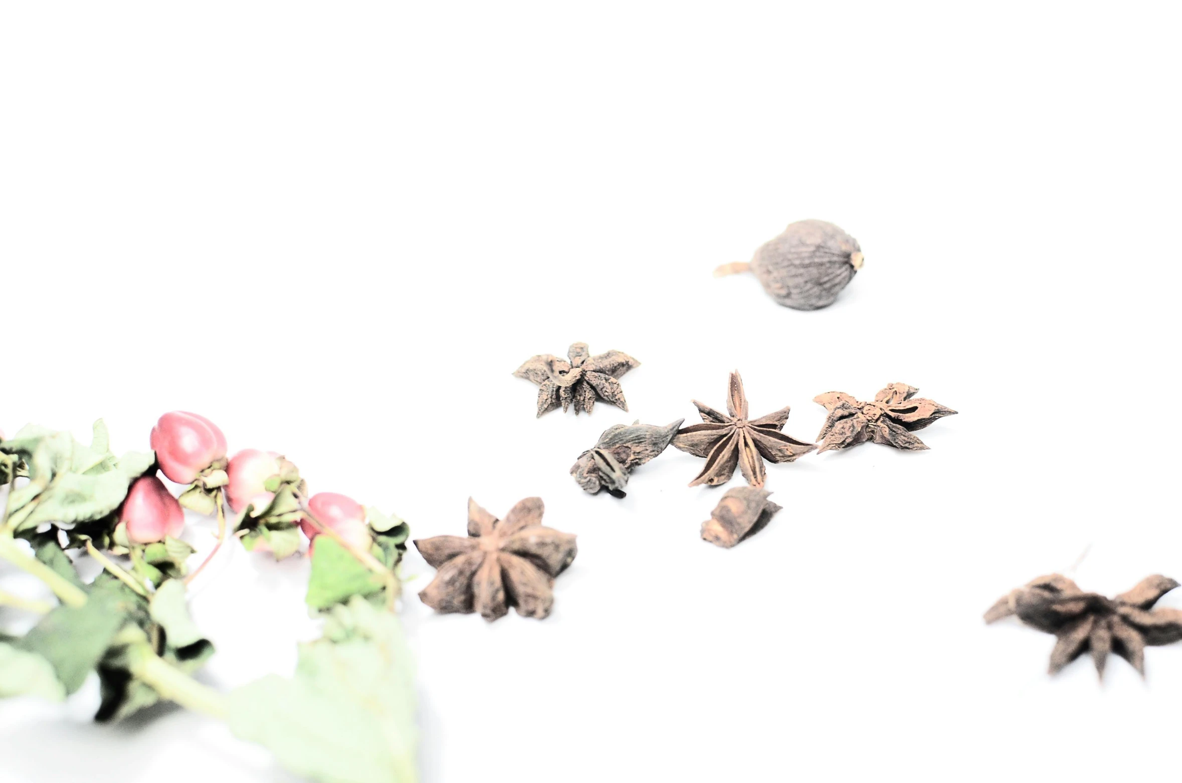 a bunch of flowers sitting on top of a white surface, spices, stars, thumbnail, dried vines