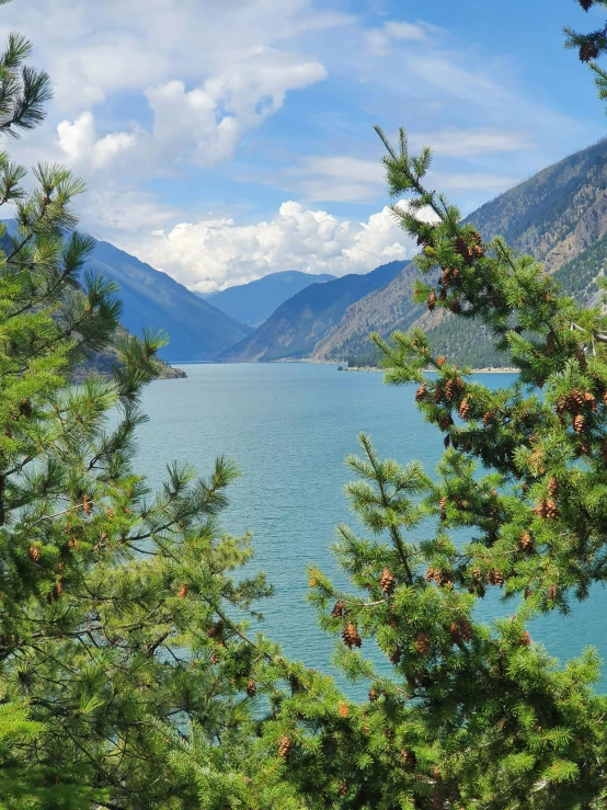 a large body of water surrounded by trees, climbing mountain in washington, profile image