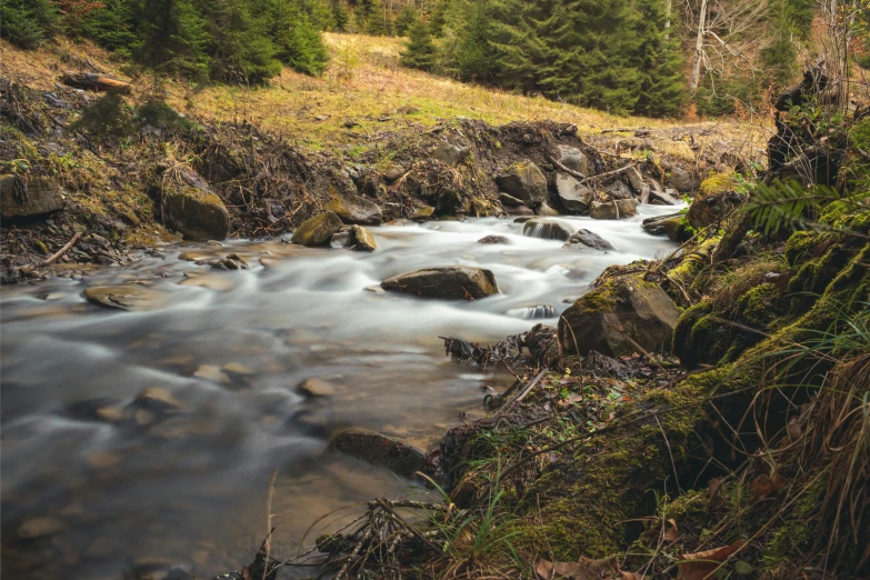 a stream running through a lush green forest, by Jesper Knudsen, pexels contest winner, hurufiyya, streams and rocks, grey, brown, thumbnail