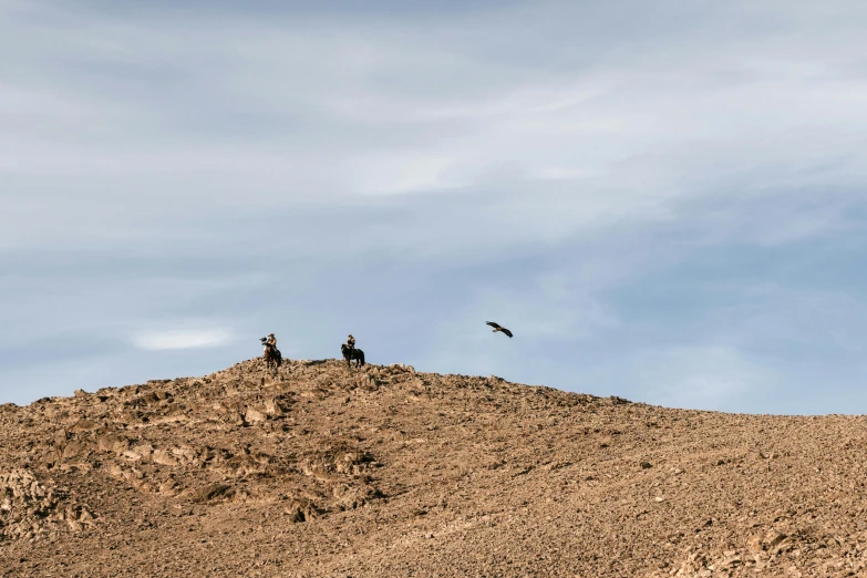 a couple of birds sitting on top of a hill, by Jan Tengnagel, pexels contest winner, figuration libre, vultures, rocky desert, hunters, high elevation