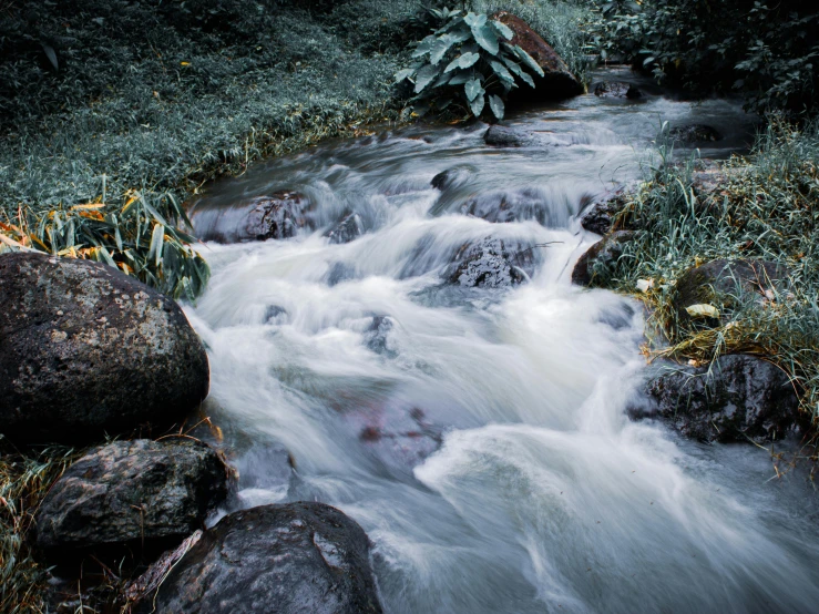 a stream running through a lush green forest, an album cover, unsplash, hurufiyya, hawaii, medium format color photography, grey, water particules