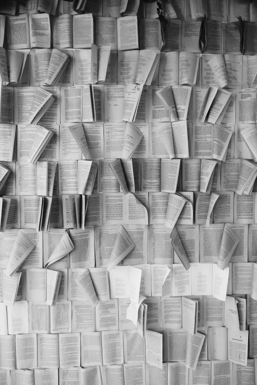 a black and white photo of a bunch of papers, by Jan Kupecký, open books, ( ( photograph ) ), wall ], cut paper texture