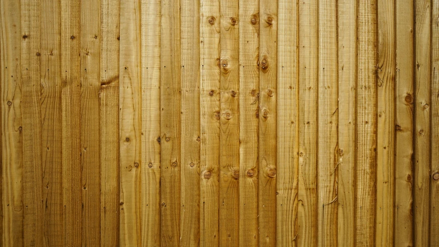a close up view of a wooden fence, 4 0 0 mm, pintrerest, environmental, panel