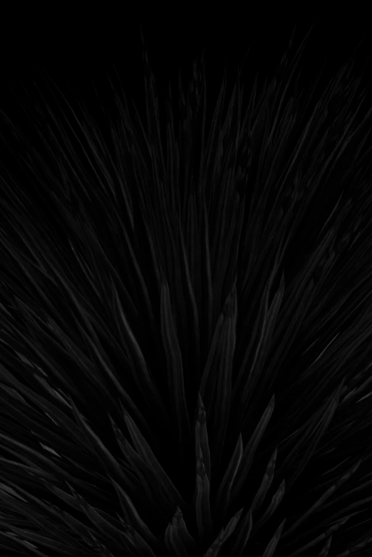 a black and white photo of a plant, inspired by Pierre Soulages, unsplash, conceptual art, video game texture, wild spiky black saiyan hair, dark vibrant colors, panel of black