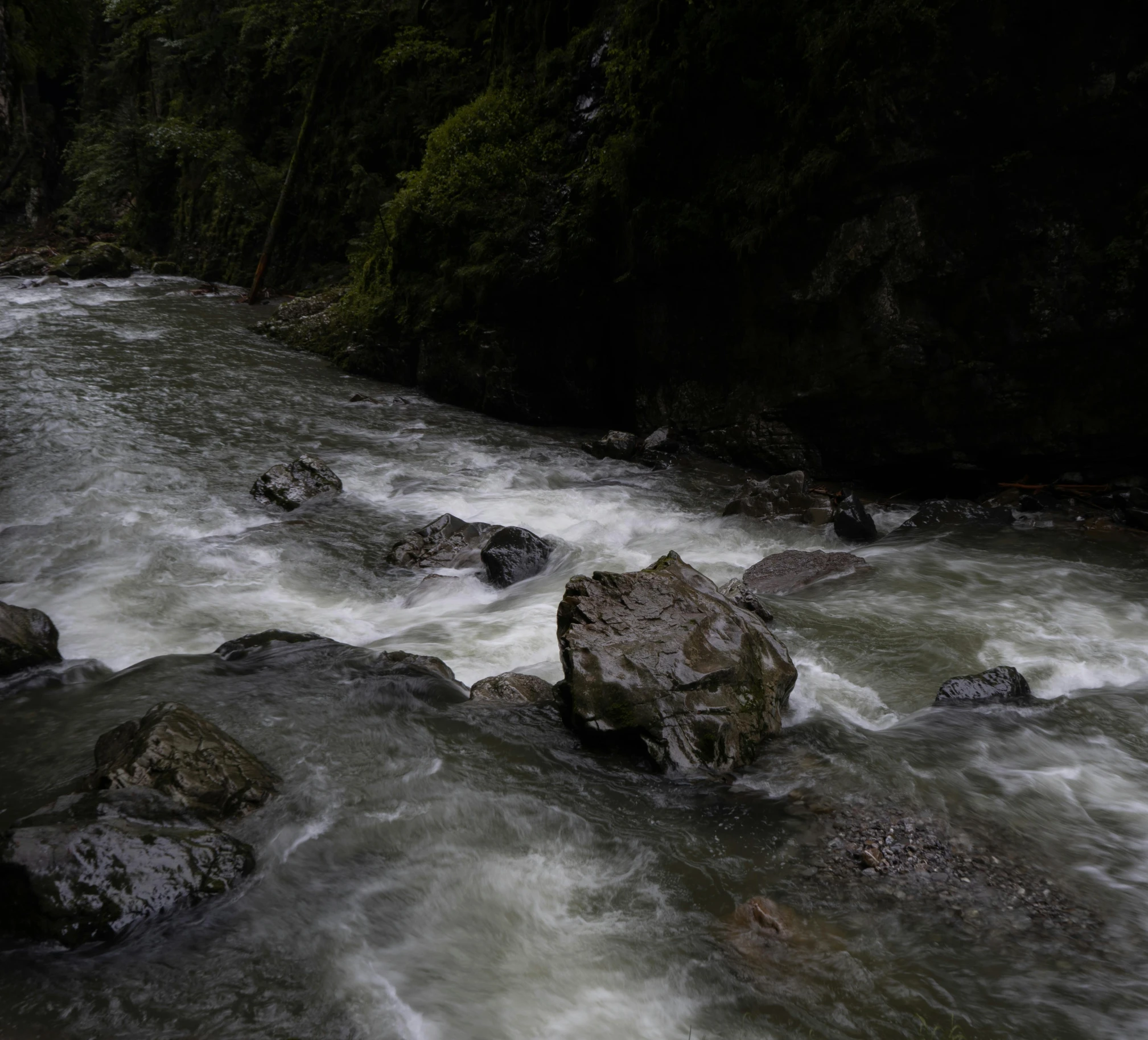 a river running through a lush green forest, an album cover, pexels contest winner, hurufiyya, with lots of dark grey rocks, british columbia, violent stormy waters, thumbnail