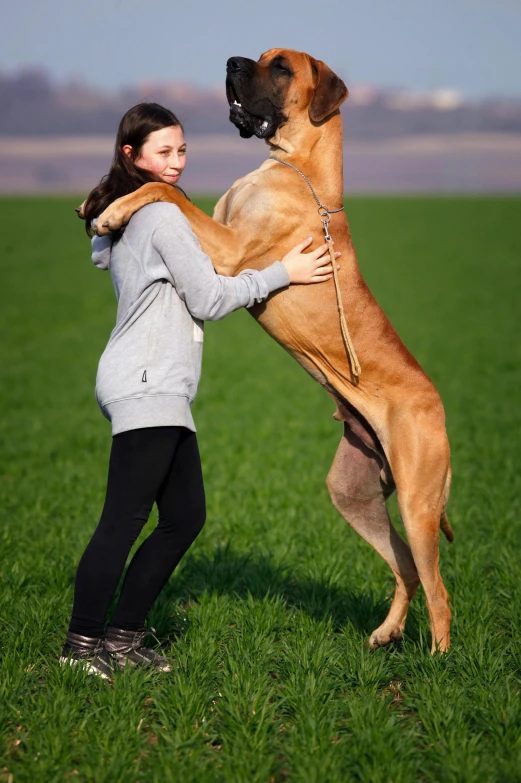 a woman standing next to a large dog on top of a lush green field, a picture, inspired by Elke Vogelsang, shutterstock contest winner, renaissance, standing on two legs, extremely handsome, square, with long