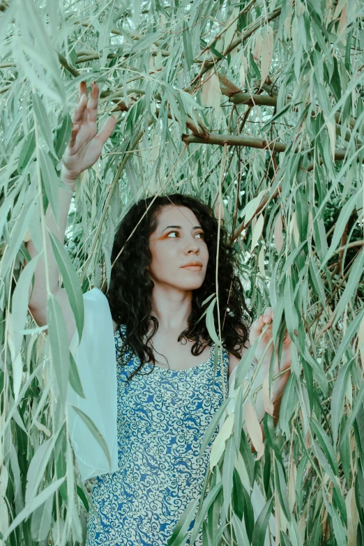 a woman in a blue dress standing under a tree, an album cover, by Maryam Hashemi, pexels contest winner, willow plant, oona chaplin, profile image, waving