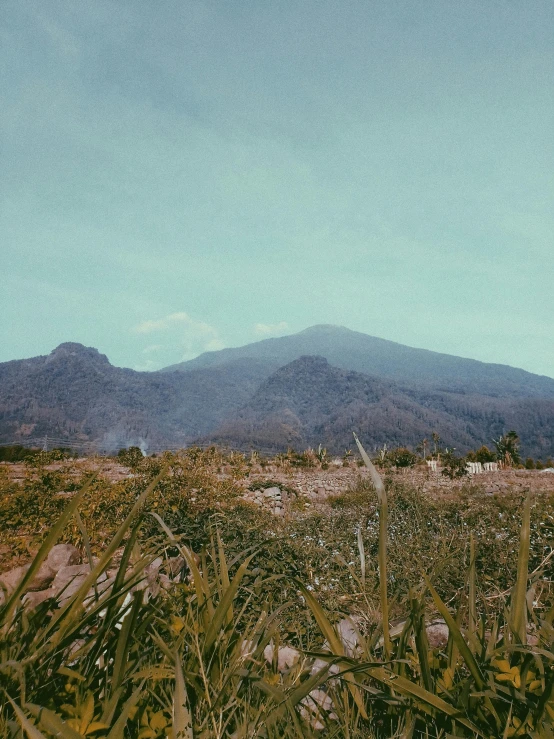 a man flying a kite on top of a lush green field, a picture, inspired by Erik Pevernagie, trending on unsplash, sumatraism, volcano texture, vhs colour photography, rocky foreground, 1960s color photograph