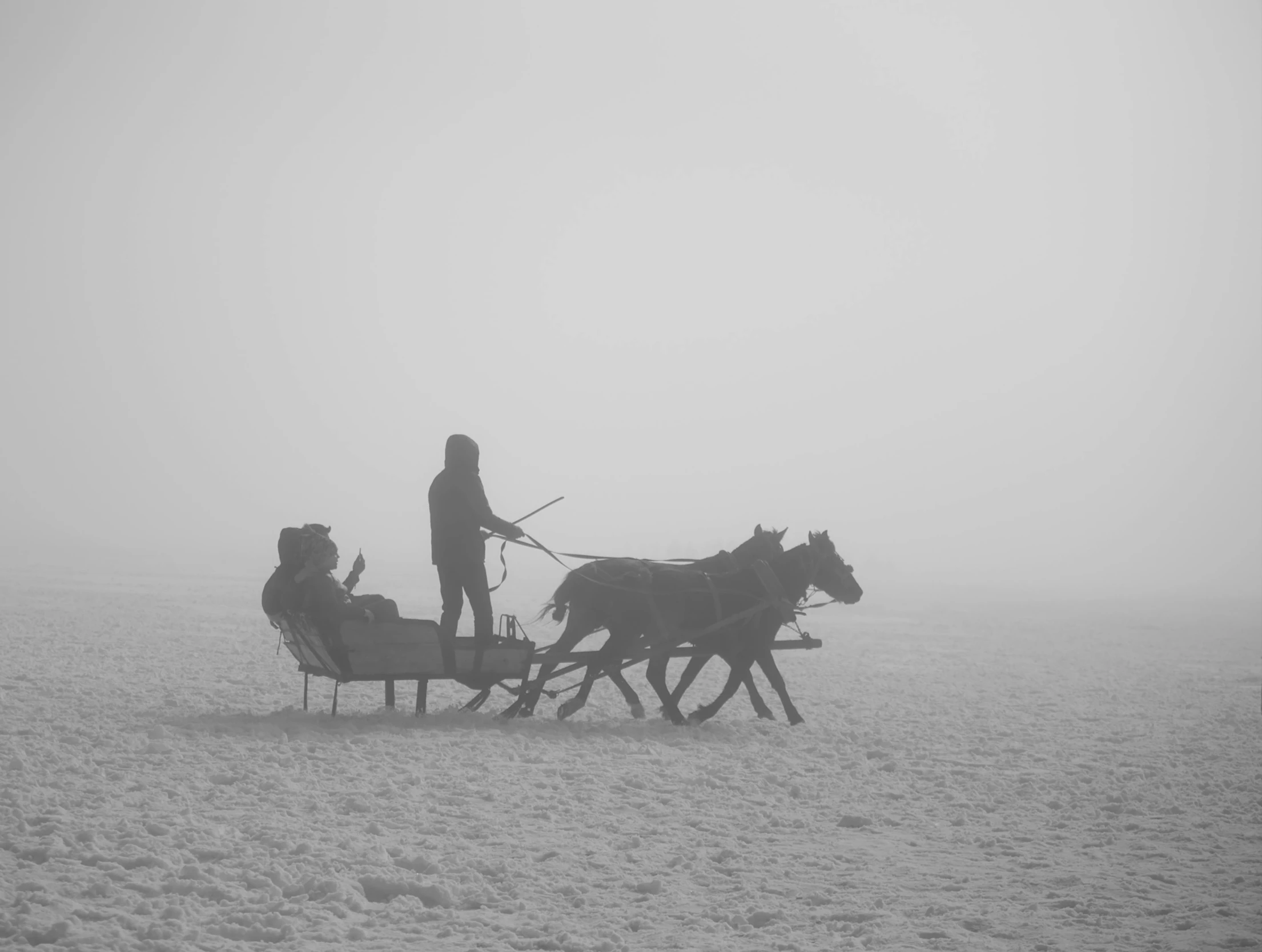 a man riding a horse drawn sleigh in the snow, a black and white photo, by Emma Andijewska, unsplash contest winner, romanticism, sand storm, thin fog, girl, inuk