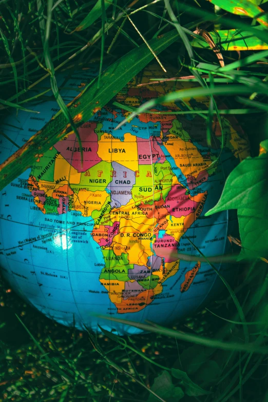 a globe sitting on top of a lush green field, african iconography, illuminating the area, map, biodiversity