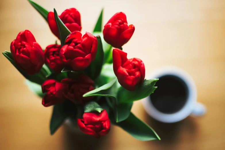 a bouquet of red tulips next to a cup of coffee, by Julia Pishtar, pexels contest winner, wine, infinite intricacy, no cropping, 15081959 21121991 01012000 4k