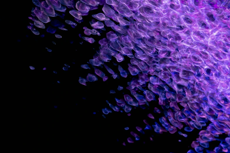 a close up of a purple substance on a black background, a microscopic photo, by Jan Rustem, flickr, fish scales, view from below, purple tubes, floating particles