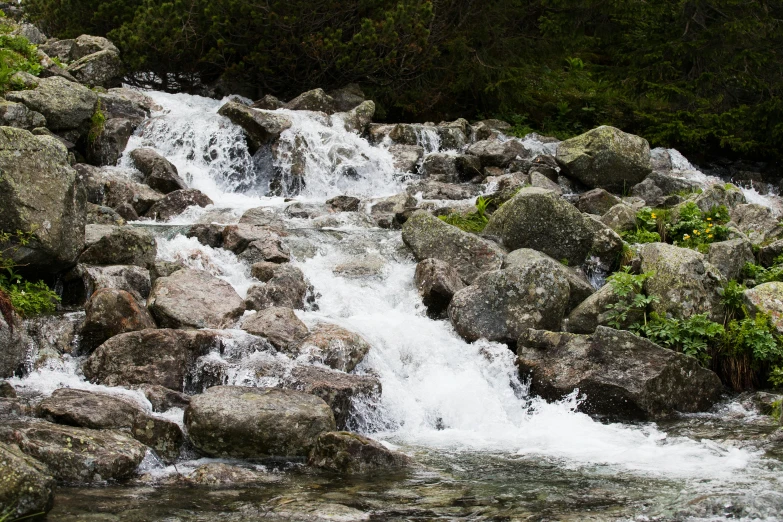 a stream running through a lush green forest, an album cover, unsplash, hurufiyya, chamonix, rocks falling, white water, maintenance photo