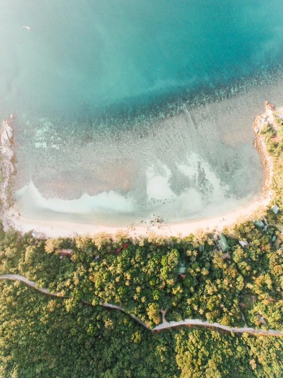 an aerial view of a beach and a body of water, a screenshot, unsplash contest winner, lush surroundings, manly, bird\'s eye view, abel tasman