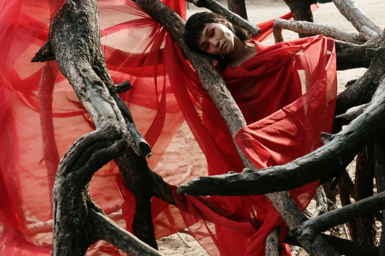 a woman in a red dress laying in a hammock, an album cover, inspired by Scarlett Hooft Graafland, pexels contest winner, gutai group, the eyes of sharbat gula, in a tree, still from the movie the arrival, ap